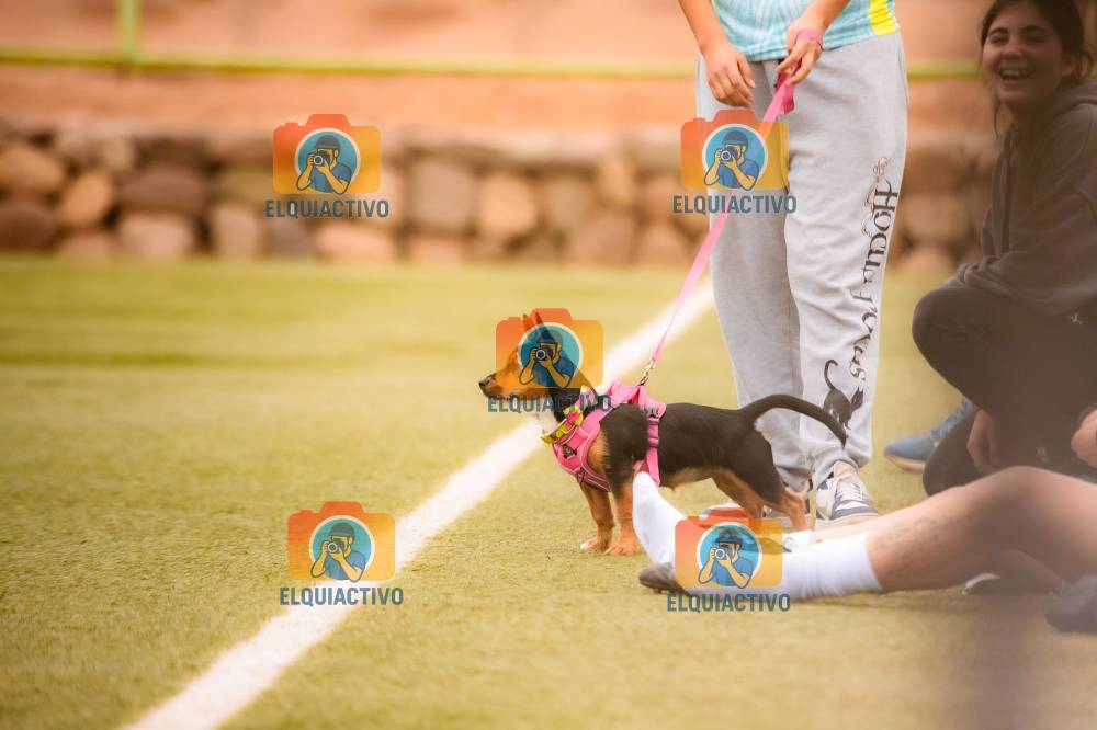 Fotografía del evento Mac Vs Union Minas